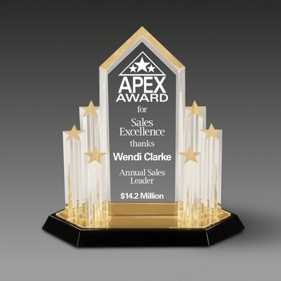 Stellar Performance™ Outstanding Achievement Award (11"x9¾")