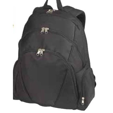 Urban Compu-Backpack