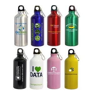 22 Oz. Aluminum Sports Water Bottle w/ Carabiner