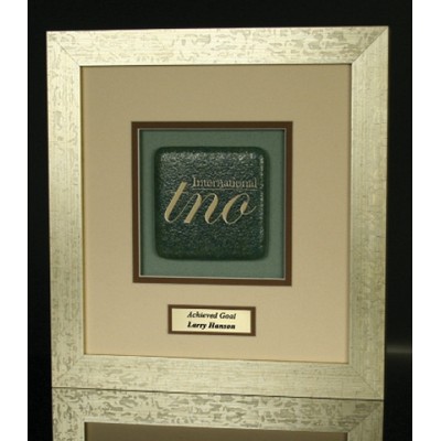 Eco Conscious Framed Glass Award (11.5"x12")