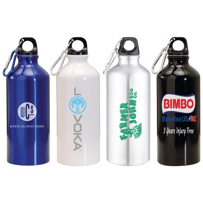 20 Oz. Aluminum Water Bottle w/Carabiner