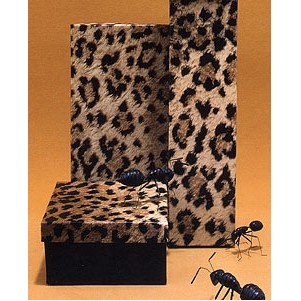 Leopard Print 2 Piece Fiber Filled Jewelry Box (3 1/2"x3 1/2"x1 7/8")