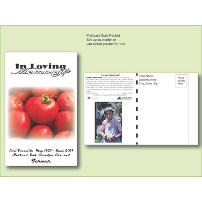 Tomato 'Beefsteak' Seed Packet - Postcard Mailer Size (4" x 6.5")