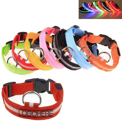 LED Dog Collars