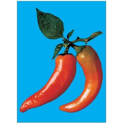 Chili Pepper Rectangle Badge w/ Bar Pin (2"x3")