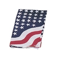 American Flag Print Bandana