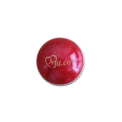 Branded Cricket Ball