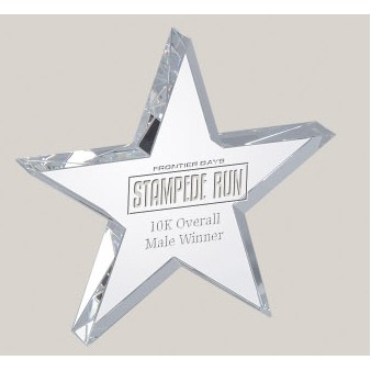 6" Star Glass Award