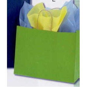 Kraft Metallic Paper Bag (H)