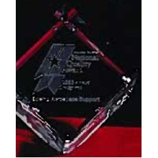 Custom 3D Image in Crystal Large Standing Cube Award (3 1/2"x3 1/2")