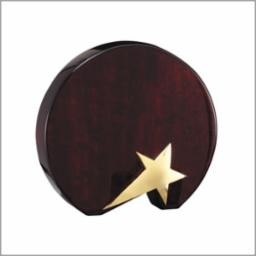 Circle w/Shooting Star Award