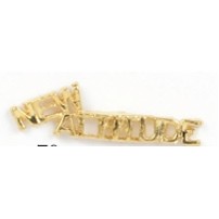 New Attitude Cut Out Stock Casting Lapel Pin