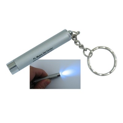 LED Light w/ Key Chain