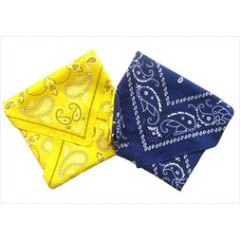 Cotton Bandannas