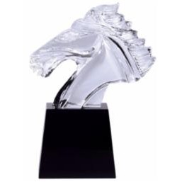 Medium Crystal Stallion Award