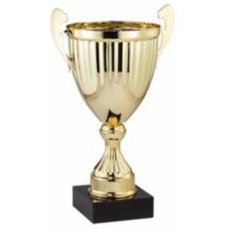 11" Assembled Gold Cup Trophy