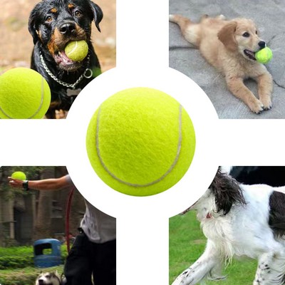 Durable Pet Chew Tennis Balls - 2.5 Inch Dog Toy