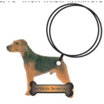 Welsh Terrier Keychain w/Mirrored Back (4 Square Inch)