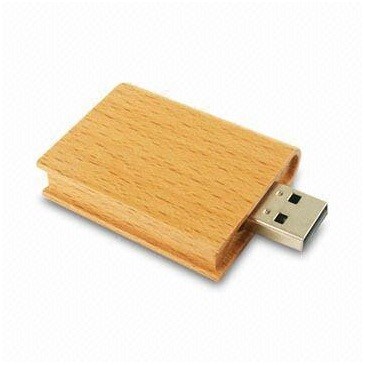 256 MB Book Flash Drive