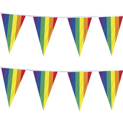 Rainbow Pennant Streamer 60'