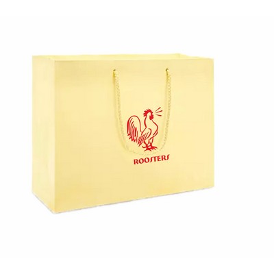 Laminated Matte Colored Rope Handle Gift Bag (13"x5"x10")