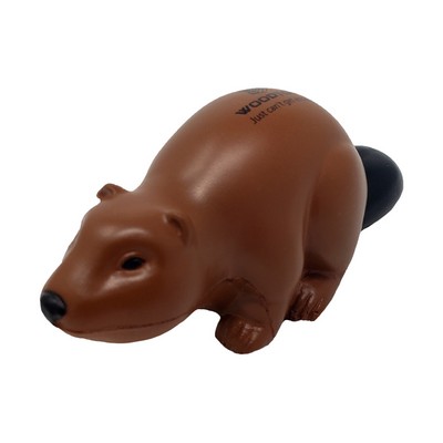 Beaver Stress Balls