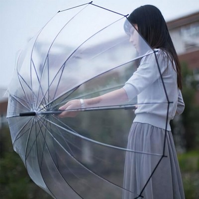 42'' Arc Clear Auto Open Umbrella With Hook Handle