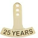 25 Year Stock Die Struck Pin