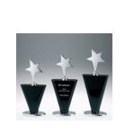 Small Black Winner's Star Award