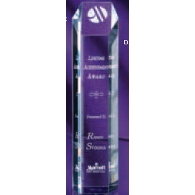 Acrylic Hexagon Tower Award (12")