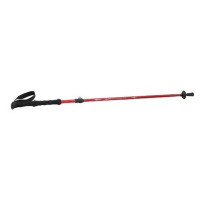 ALPS Mountaineering® Conquest Trekking Pole