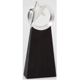 Lone Star Black and Silver Award