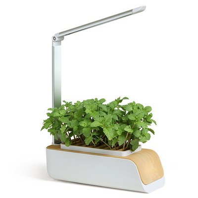 Indoor Hydroponic Growing System