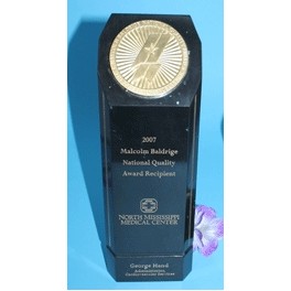 12" Grand Master Genuine Marble Award w/Medallion