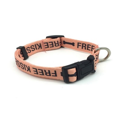 Nylon Dog Collar (3/8"x12")