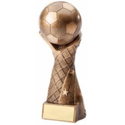 Large Soccer Ball w/Net Award