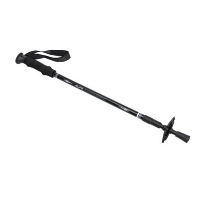 ALPS Mountaineering® Explorer Trekking Pole