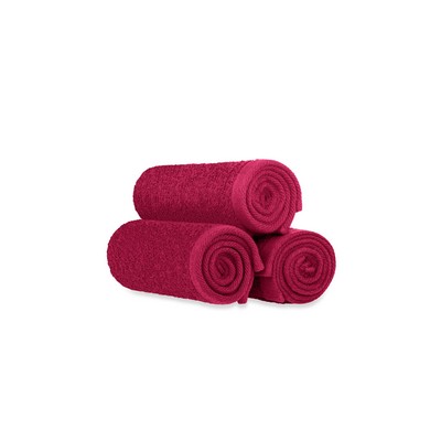 Burgundy Red Bleach Proof Oxford Salon & Spa Hand Towel