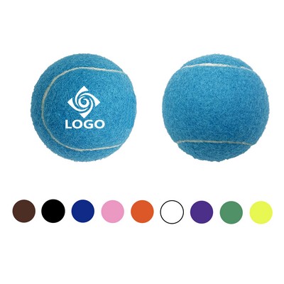 Pet Training Tennis Ball