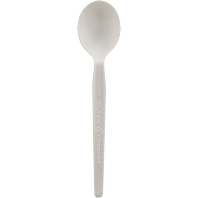 Biodegradable Spoon