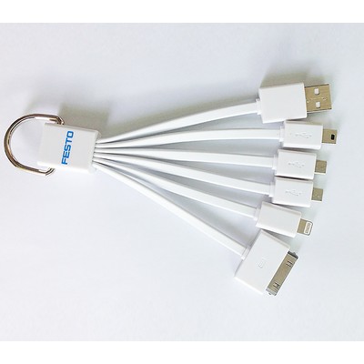 4 in 1 Keychain Charging Cable