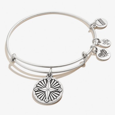 Alex and Ani® Shiny Silver Finish Compass Bangle Bracelet