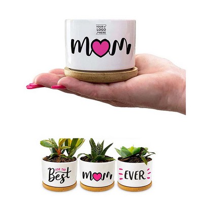 Plants Pots