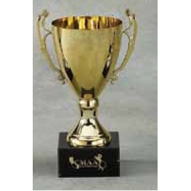 14" Trophy Cup