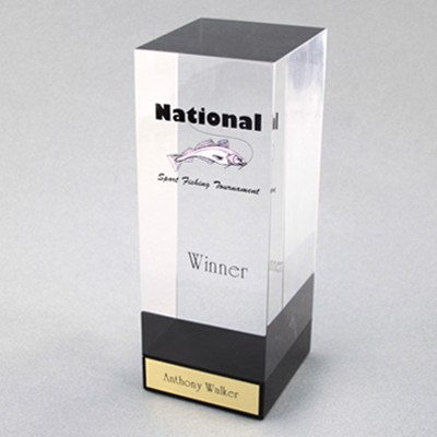 Acrylic Cube 3 Award (3-1/2"x 10"x 3-1/2")