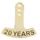 20 Year Stock Die Struck Pin