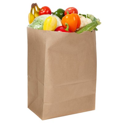 Grocery Size Paper Bag