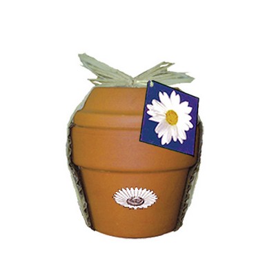 Deluxe Plant Kit w/Daisy Seeds