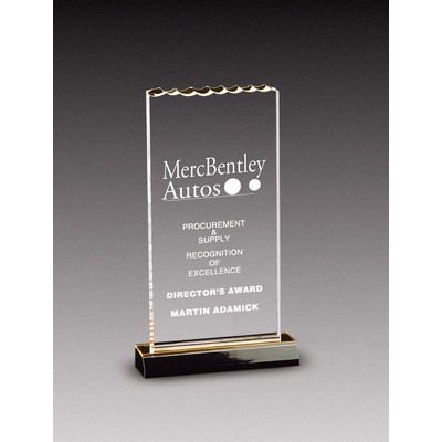 Medium ICE Top Acrylic Award