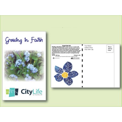 Forget-Me-Not Seed Packet - Postcard Mailer Size (4" x 6.5")